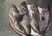 清炖黑鱼汤的做法_图解清炖黑鱼汤怎么做好喝