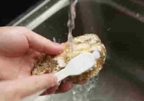 蒸蒜泥生蚝的做法_图解带壳蒸的蒜泥生蚝怎么做