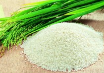 粳米的功效与作用及食用方法